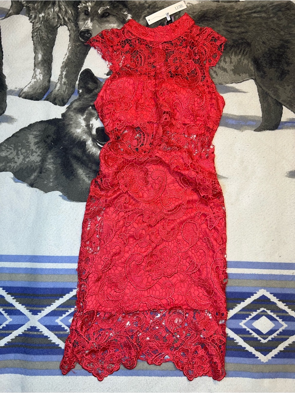 NEW LUXE Coral Floral Lace Sleeveless High Neck Sheath Dress Size 10